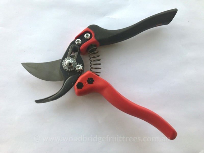 Bahco ERGO pruning shears size L, PX-L2